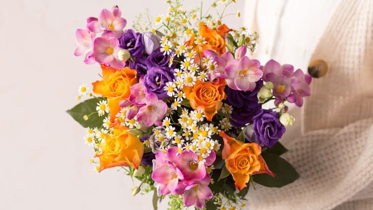 Bunches cover