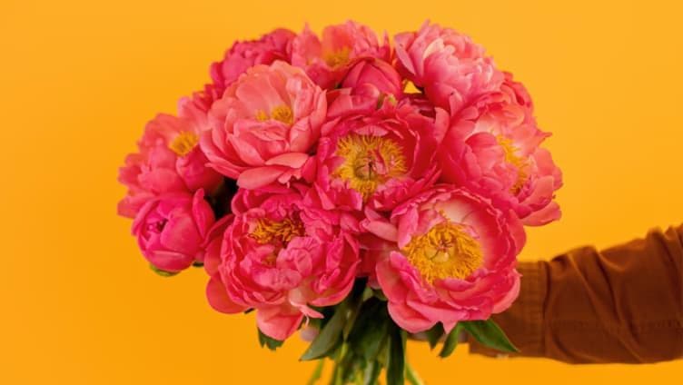 eFlorist Discount Cover